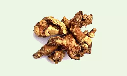 കോലിഞ്ചിക്ക് വിലയിടിപ്പിച്ച് വ​ൻ​കി​ട മ​രു​ന്നു ക​മ്പ​നി​ക​ൾ; വിളവെടുപ്പ് കാലം ദുരിതമായി കർഷകർ; ട്രംപിന്റെ പകര ചുങ്കം വീണ്ടും തിരിച്ചടിയായേക്കും