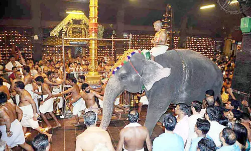 ഗു​രു​വാ​യൂ​ര്‍ ആ​ന​ത്താ​വ​ള​ത്തി​ലെ മു​ത്ത​ശ്ശി ന​ന്ദി​നി ചെ​രി​ഞ്ഞു