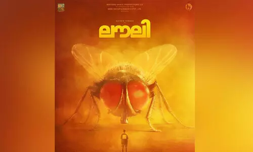 നായികയായി ഈച്ച; മാത്യുവിന്‍റെ ത്രീഡി ചിത്രം ലൗലി റിലീസ് ഡേറ്റ്