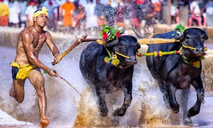 പോ​ത്തോ​ട്ട മ​ത്സ​രത്തിന് ദ​സ​റ സ്‌​പോ​ർ​ട്‌​സ് മീ​റ്റി​ൽ ഔദ്യോഗിക എൻട്രി