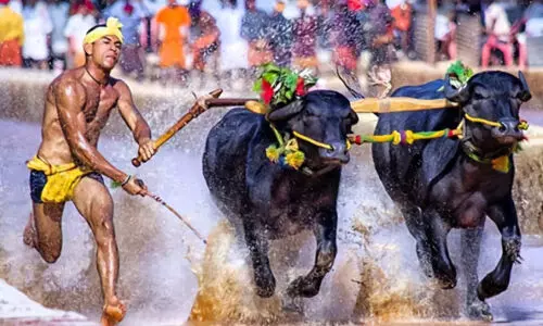 പോ​ത്തോ​ട്ട മ​ത്സ​രത്തിന് ദ​സ​റ സ്‌​പോ​ർ​ട്‌​സ് മീ​റ്റി​ൽ ഔദ്യോഗിക എൻട്രി