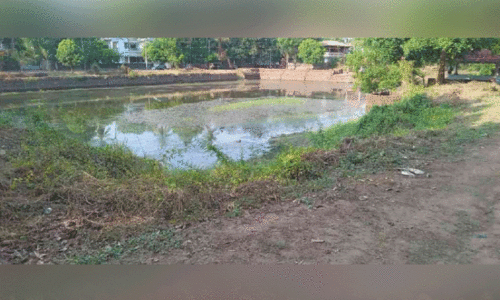 സം​ര​ക്ഷ​ണ​മി​ല്ല; കോ​വി​ല​കം ചി​റ ന​ശി​ക്കു​ന്നു