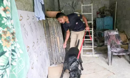 ഓപറേഷൻ ഡി ഹണ്ടിൽ വലയിലായത് 265 പേർ; ഇ​തു​വ​രെ ജി​ല്ല​യി​ൽ രജിസ്റ്റർ ചെയ്തത് 255 കേ​സു​ക​ൾ   ​