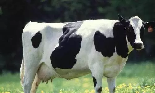 Representative photo Representative photo