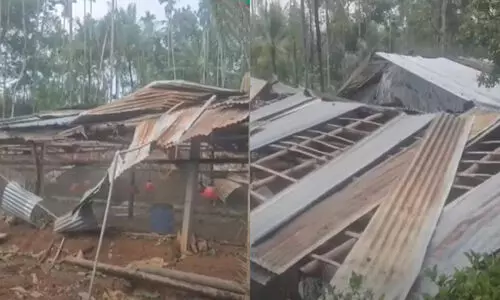 വയനാട്ടിൽ മഴയിൽ വ്യാപക നാശനഷ്ടം; ഫാമിന്‍റെ മേൽക്കൂര കാറ്റിൽ തകർന്നുവീണ് 3500 കോഴിക്കുഞ്ഞുങ്ങൾ ചത്തു