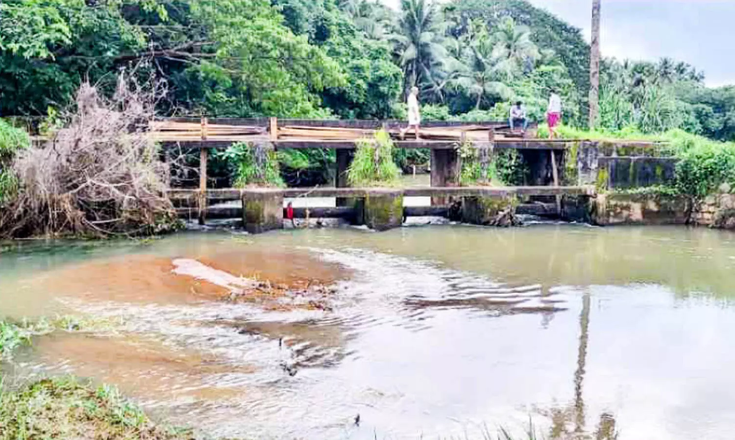 മു​ട്ടി​പ്പാ​ലം ഇ​നി പ​ഴ​ങ്ക​ഥ; ക​ര്‍ഷ​ക സ്വ​പ്ന​പ​ദ്ധ​തി​ക്ക് പ​ച്ച​ക്കൊ​ടി