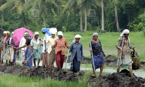 തൊഴിലുറപ്പ് തൊഴിലാളികളുടെ വേതന കുടിശ്ശിക ഉടൻ തീർക്കണം: കേന്ദ്ര ഗ്രാമവികസന മന്ത്രി ശിവരാജ് സിങ് ഛൗഹാന് കത്തുനൽകി കെ.സി. വേണുഗോപാൽ