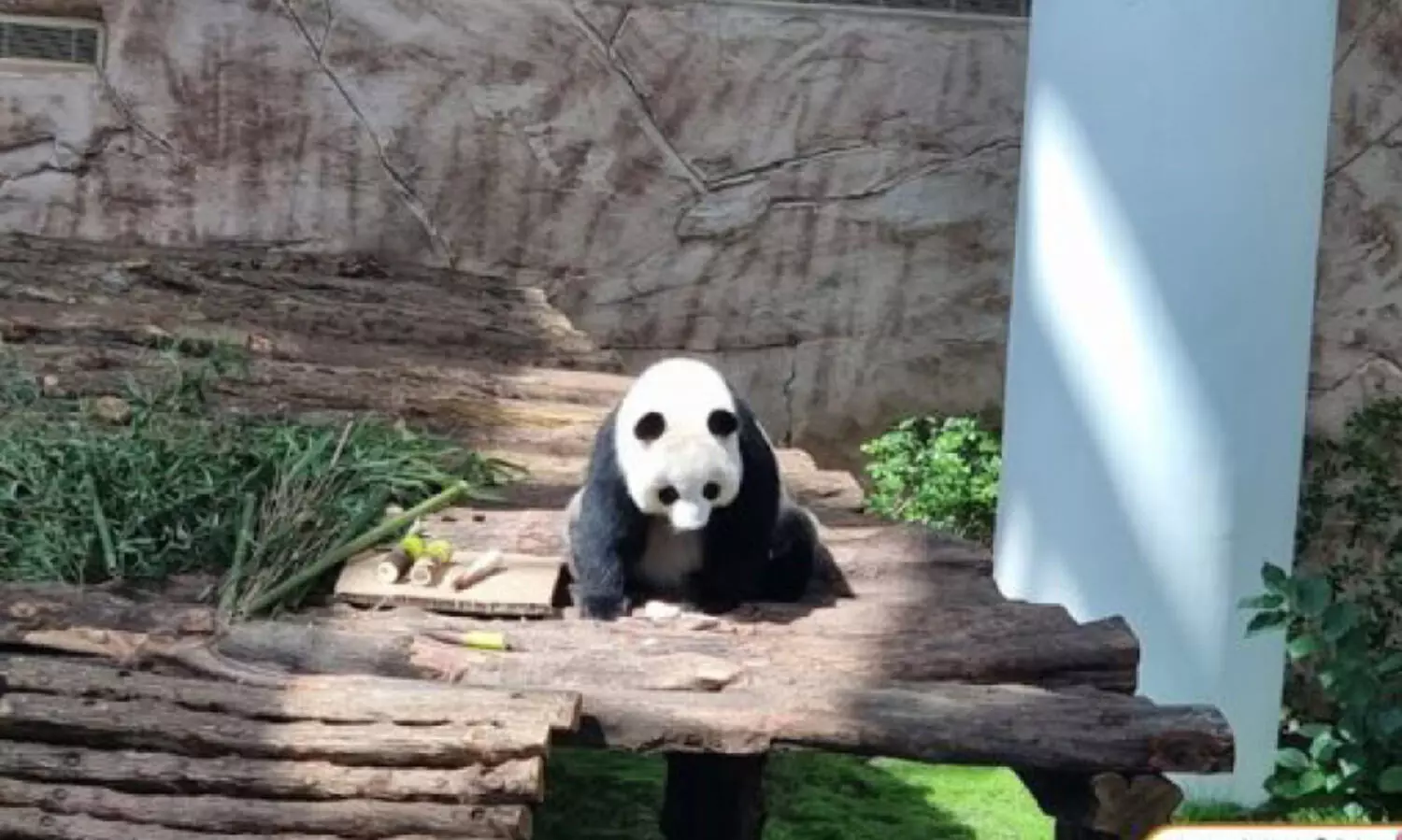 പാ​ർ​ക്കു​ക​ളി​ലെ പ്ര​വേ​ശ​ന ഫീ​സ് പ്ര​ഖ്യാ​പി​ച്ച് മു​നി​സി​പ്പാ​ലി​റ്റി മ​ന്ത്രാ​ല​യം