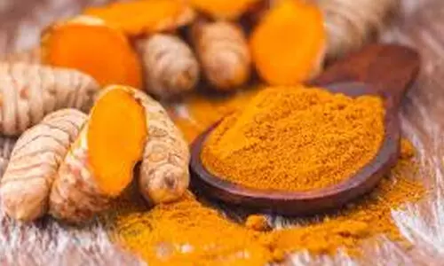 ഈ മഞ്ഞയ്ക്ക് മഞ്ഞ കുറവാണ്; നിറം കുറഞ്ഞ മ​ഞ്ഞ​ള്‍ ഇ​നം പു​റ​ത്തി​റ​ക്കി ഭാ​ര​തീ​യ സു​ഗ​ന്ധ​വി​ള ഗ​വേ​ഷ​ണ സ്ഥാ​പ​നം