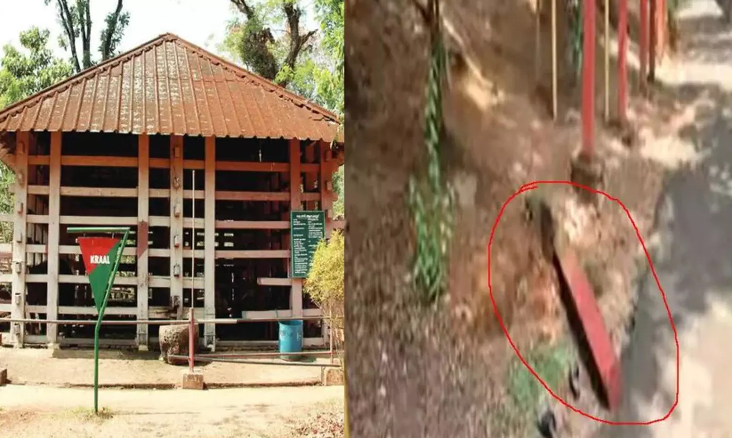 കോന്നി ആനത്താവളത്തിൽ കോണ്‍ക്രീറ്റ് തൂണ് ഇളകി വീണു; നാലു വയസുകാരന് ദാരുണാന്ത്യം