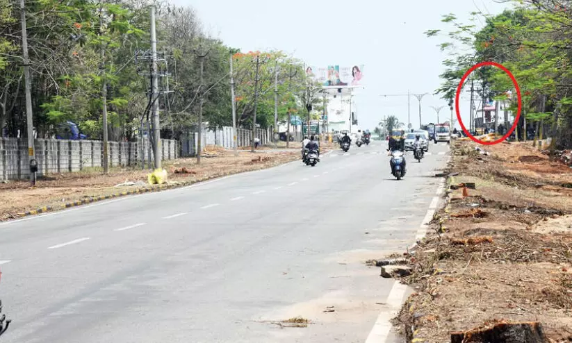 തണൽ തിരിച്ചു പിടിക്കാൻ; മൈസൂരുവിൽ മുറിച്ച 40 മരങ്ങൾക്ക് പകരം 400 തൈകള് വെച്ചുപിടിപ്പിക്കും തണൽ തിരിച്ചു പിടിക്കാൻ; മൈസൂരുവിൽ മുറിച്ച 40 മരങ്ങൾക്ക് പകരം 400 തൈകള് വെച്ചുപിടിപ്പിക്കും