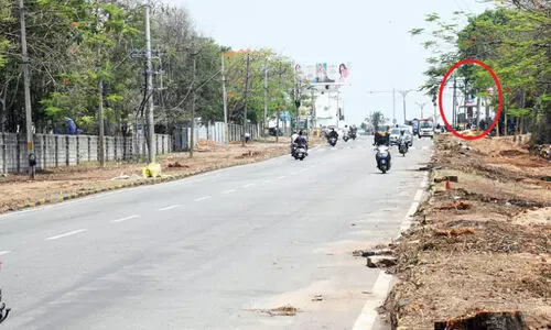 തണൽ തിരിച്ചു പിടിക്കാൻ; മൈ​സൂ​രു​വി​ൽ മു​റി​ച്ച 40 മ​ര​ങ്ങ​ൾ​ക്ക് പ​ക​രം 400 തൈ​ക​ള്‍ വെ​ച്ചു​പി​ടി​പ്പി​ക്കും