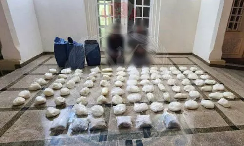 മ​യ​ക്കു​മ​രു​ന്നു​മാ​യി ര​ണ്ടു​പേ​ർ പി​ടി​യി​ൽ