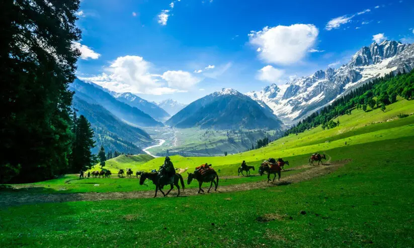 കാ​ൽ നൂ​റ്റാ​ണ്ട്; മ​ര​ണം 22,417; പ്ര​ത്യേ​ക പ​ദ​വി എ​ടു​ത്തു​ക​ള​ഞ്ഞ​ശേ​ഷം   ഭീകരാ​ക്ര​മ​ണ​ങ്ങ​ൾ കു​റ​ഞ്ഞു​വോ?