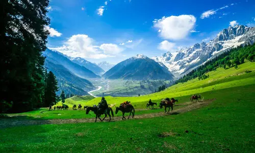 കാ​ൽ നൂ​റ്റാ​ണ്ട്; മ​ര​ണം 22,417; പ്ര​ത്യേ​ക പ​ദ​വി എ​ടു​ത്തു​ക​ള​ഞ്ഞ​ശേ​ഷം   ഭീകരാ​ക്ര​മ​ണ​ങ്ങ​ൾ കു​റ​ഞ്ഞു​വോ?