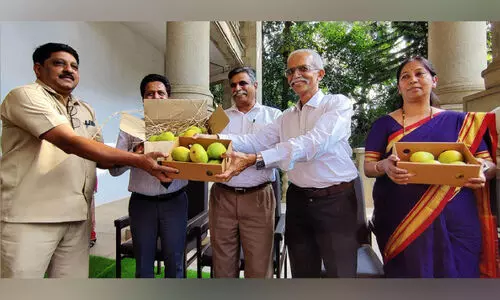 മാ​മ്പ​ഴം ഇ​നി പോ​സ്റ്റ​ലി​ല്‍ വീ​ട്ടു​പ​ടി​ക്ക​ലെ​ത്തും