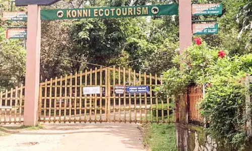 സസ്പെൻഷനിലായവർക്ക് പകുതി ശമ്പളമെങ്കിലും കിട്ടും, താൽക്കാലികകാർക്കോ?; കോന്നി ഇക്കോ ടൂറിസം കേന്ദ്രം അടച്ചതോടെ ദുരിതത്തിലായി അറുപതോളം കുടുംബങ്ങൾ