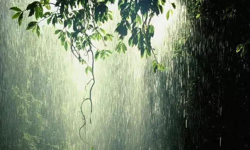ഇടിമിന്നലോട് കൂടിയ മഴക്ക് സാധ്യത; മൂന്ന് ജില്ലകളിൽ യെല്ലോ അലർട്ട്