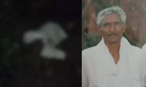 വയനാട്ടിൽ വീണ്ടും കാട്ടാനക്കലി; വയോധികന് ദാരുണാന്ത്യം