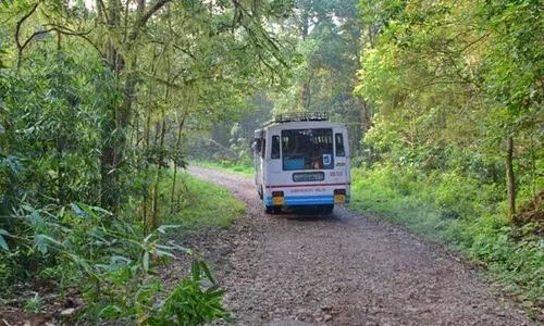 കെ.​എ​സ്​​ആ​ർ.​ടി​സി ബസ്​ വീണ്ടും ഗവി വനത്തിൽ കുടുങ്ങി