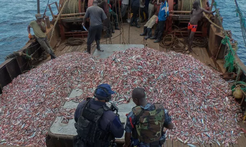 പി​ടി​ച്ചെ​ടു​ത്ത 3000 കി​ലോ​ഗ്രാ​മോ​ളം ക​ട​ൽ​മ​ത്സ്യം ലേ​ലം​ചെ​യ്തു