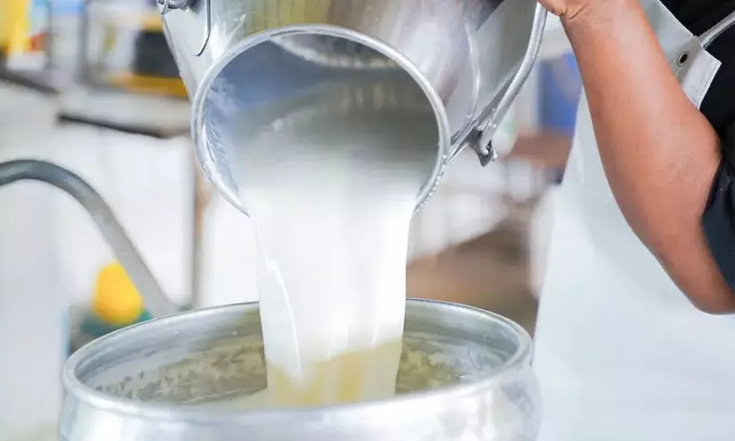 പാൽ ഉൽപാദനം കുറയുന്നു; ക്ഷീരമേഖല പ്രതിസന്ധിയിൽ