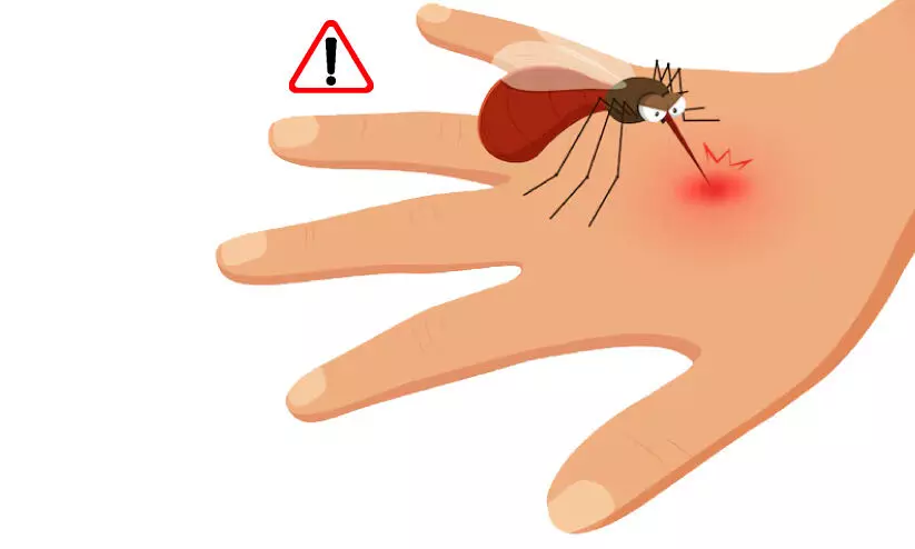 ഇന്ന് ലോക മലമ്പനി നിവാരണദിനം; അഞ്ചു വർഷമായി മലമ്പനി റിപ്പോർട്ട് ചെയ്യാതെ ഇടുക്കി ഇന്ന് ലോക മലമ്പനി നിവാരണദിനം; അഞ്ചു വർഷമായി മലമ്പനി റിപ്പോർട്ട് ചെയ്യാതെ ഇടുക്കി