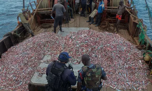 പി​ടി​ച്ചെ​ടു​ത്ത 3000 കി​ലോ​ഗ്രാ​മോ​ളം ക​ട​ൽ​മ​ത്സ്യം ലേ​ലം​ചെ​യ്തു