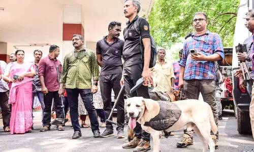 ക​ല​ക്ട​റേ​റ്റിന്​ ബോം​ബ്​ ഭീ​ഷ​ണി; ജീ​​വ​​ന​​ക്കാ​​രെ​​ പുറത്തിറക്കി ബോം​​ബ് സ്ക്വാ​​ഡ് പരിശോധന; ഒന്നും കണ്ടെത്താതെ മടക്കം