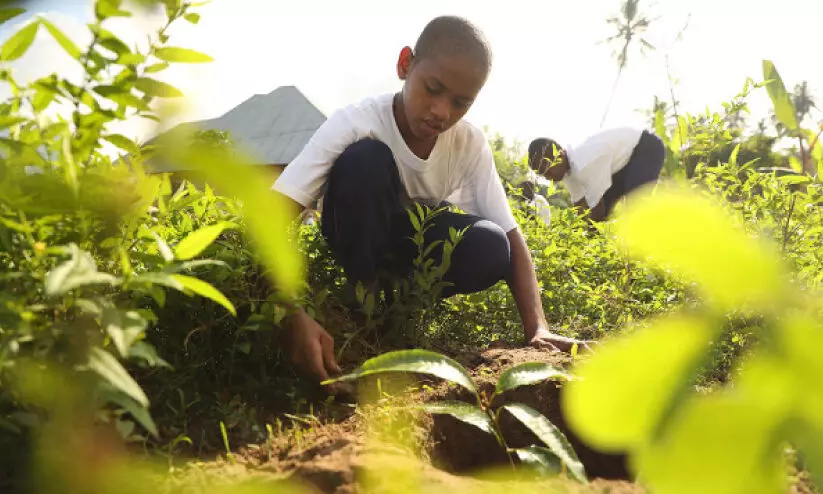 സാ​ൻ​സി​ബാ​റി​ൽ വി​ദ്യാ​ഭ്യാ​സ പ്ര​വ​ർ​ത്ത​ന​ങ്ങ​ൾ​ക്ക് തു​ട​ക്കം​കു​റി​ച്ച് ഇ.​എ.​എ