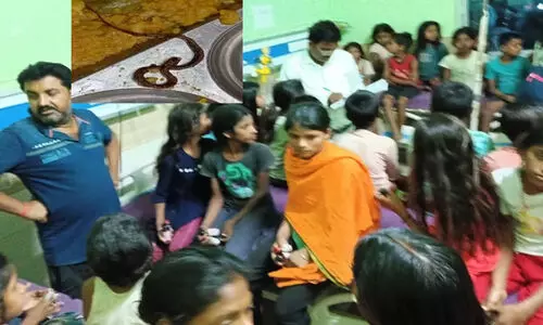 സ്കൂൾ ഉച്ചഭക്ഷണത്തിൽ ചത്ത പാമ്പ്; 200 കുട്ടികൾ ആശുപത്രിയിൽ