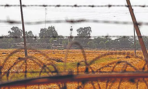 അതിർത്തിയിൽ 48 മണിക്കൂറിനകം വിള​വെടുപ്പ് നടത്താൻ കർഷകർക്ക് നിർദേശം നൽകി ബി.എസ്.എഫ്