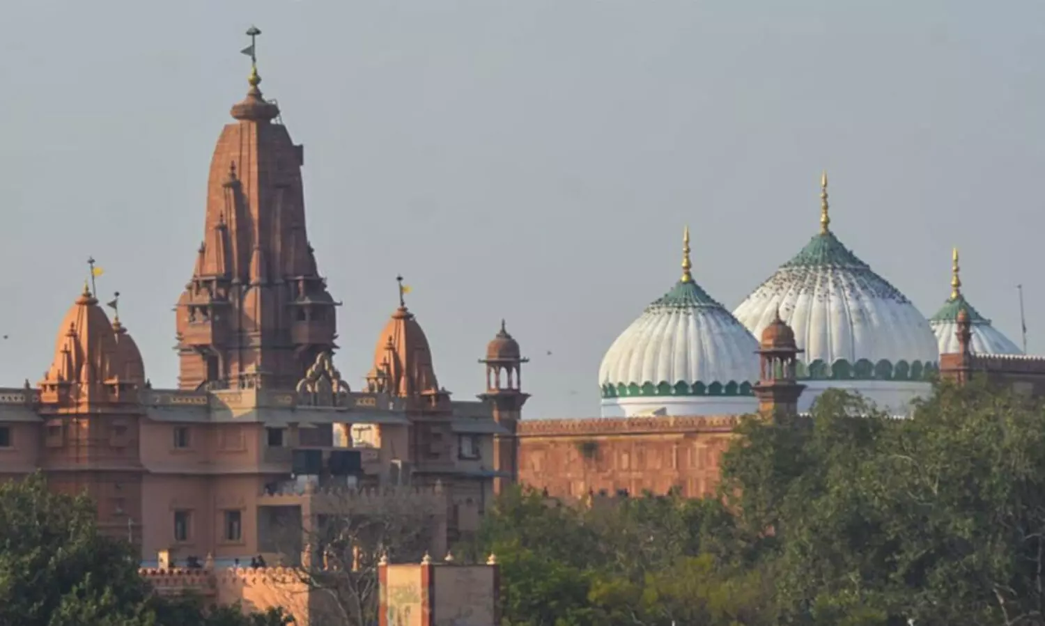 ശാഹി ഈദ്ഗാഹ് കേസ്: അലഹബാദ് ഹൈകോടതി നടപടി ​ശരിയെന്ന് സുപ്രീം കോടതി