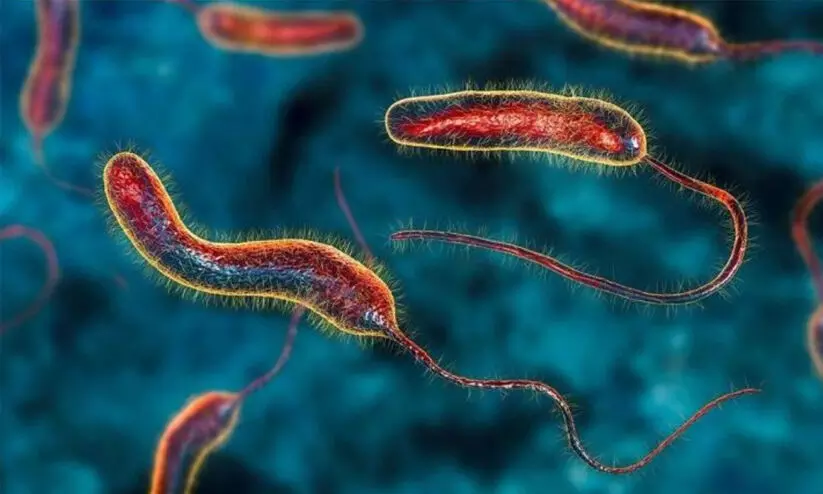 തിരുവനന്തപുരത്തെ കോളറ മരണം: ജാഗ്രതയിൽ ആരോഗ്യവിഭാഗം തിരുവനന്തപുരത്തെ കോളറ മരണം: ജാഗ്രതയിൽ ആരോഗ്യവിഭാഗം