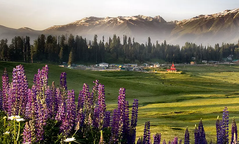 ഭീകരാക്രമണ മുന്നറിയിപ്പ്; ജമ്മുകശ്മീരിൽ 48 വിനോദസഞ്ചാര കേന്ദ്രങ്ങൾ അടച്ചു; ദാലും ഗുൽമാർഗുമുൾപ്പടെ പ്രദേശങ്ങൾ അതീവ സുരക്ഷയിൽ ഭീകരാക്രമണ മുന്നറിയിപ്പ്; ജമ്മുകശ്മീരിൽ 48 വിനോദസഞ്ചാര കേന്ദ്രങ്ങൾ അടച്ചു; ദാലും ഗുൽമാർഗുമുൾപ്പടെ പ്രദേശങ്ങൾ അതീവ സുരക്ഷയിൽ