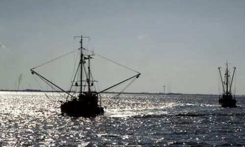അനധികൃത മത്സ്യബന്ധനം; രണ്ട് കർണാടക ബോട്ടുകൾ പിടിയിൽ
