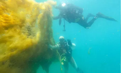 പ​വി​ഴ​പ്പു​റ്റു​ക​ളി​ൽ കു​രു​ങ്ങി​യ 200 കി​ലോ വ​ല നീ​ക്കം ചെ​യ്തു