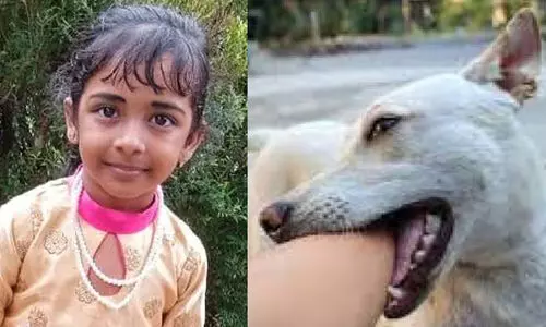 തലയിൽ ആഴത്തിലുള്ള മുറിവുകൾ, സോപ്പിട്ട് കഴുകാൻ വൈകി, വൈറസ് അതിവേഗം തലച്ചോറിലേക്ക് ബാധിച്ചു; പേ വിഷബാധയേറ്റ് അഞ്ചര വയസുകാരി മരിച്ചതിനെ കുറിച്ച് ഡോക്ടർമാർ