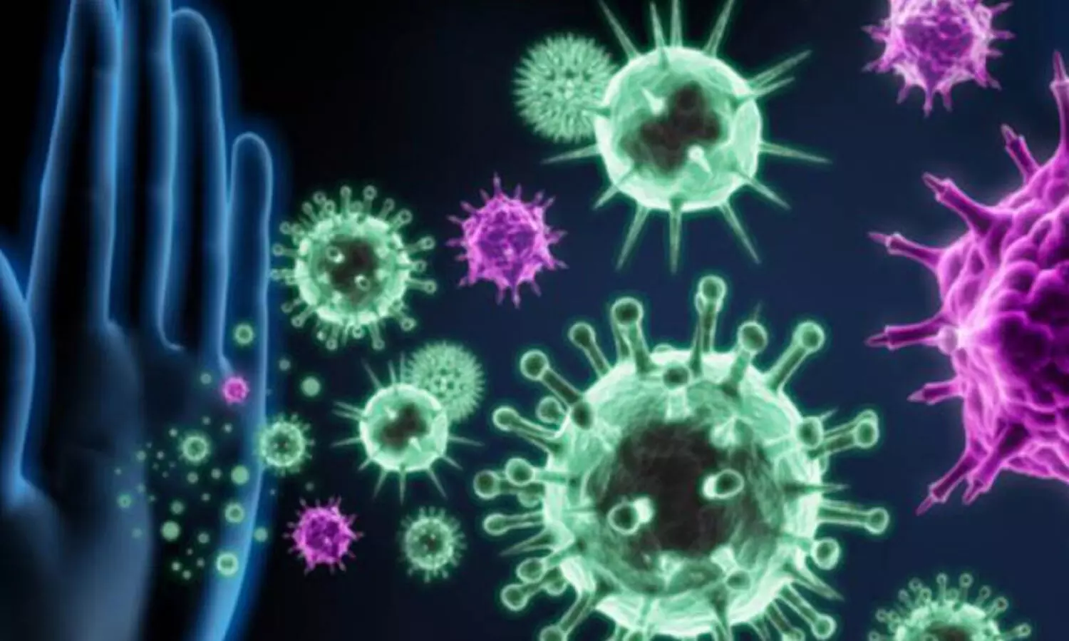 പ​ക​ർ​ച്ച​പ്പ​നി​യു​ടെ പി​ടി​യിൽ കരുവാരകുണ്ട്; പനിയും മഞ്ഞപ്പിത്തവും പടരുന്നു