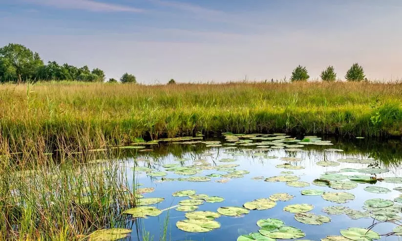 10 വർഷത്തിനകം പുനരുദ്ധരിച്ചത് 200 കുളങ്ങള്‍ ‘സുജലം’ സജലമാക്കാന്‍ ജില്ല പഞ്ചായത്ത്