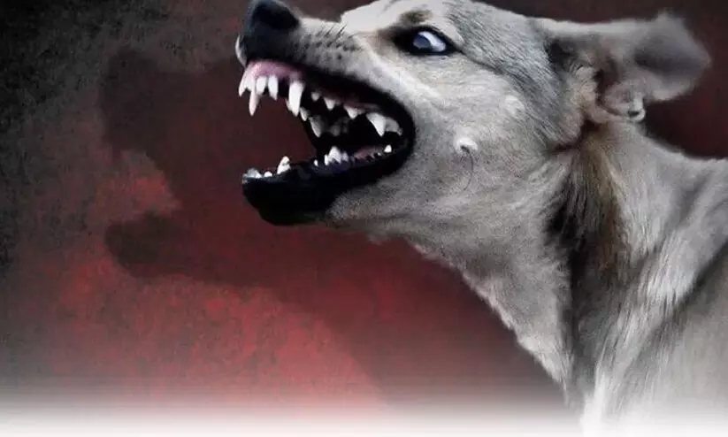 പേ​വി​ഷ​ബാ​ധ; കൈ​വെ​ടി​യ​രു​ത് ജാഗ്രത