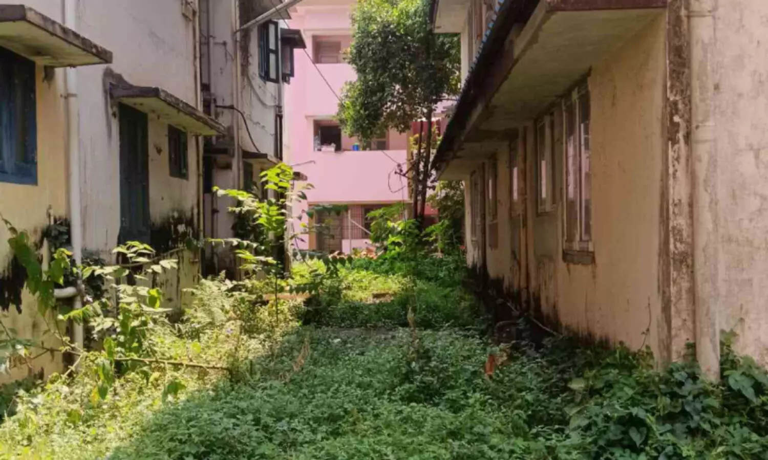 മുണ്ടോക്ക് ഗവ. ക്വാർട്ടേഴ്സ് ശോച്യാവസ്ഥയിൽ