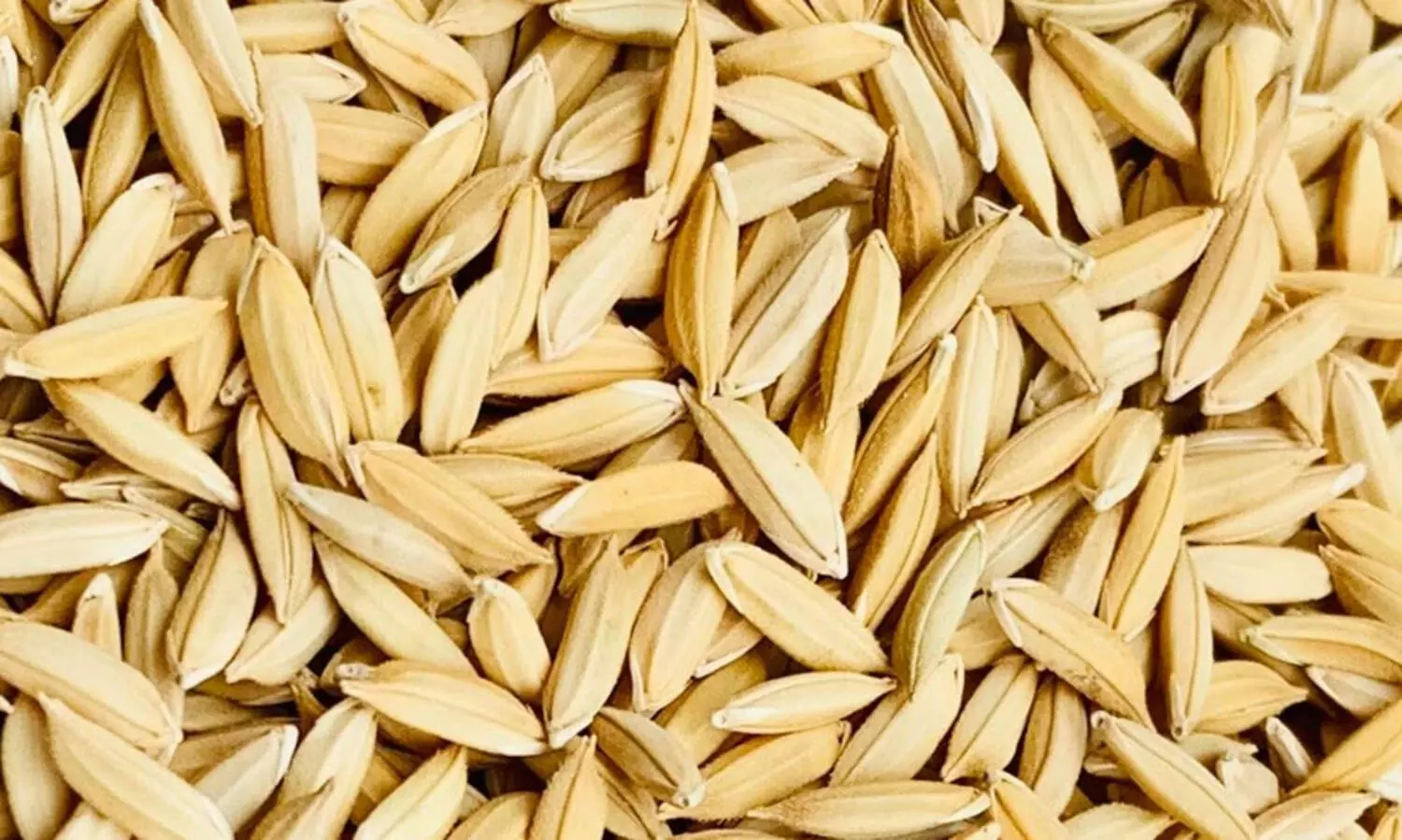 വിപണിയിൽ കതിരണിഞ്ഞ്​ ജില്ല പഞ്ചായത്തിന്റെ കുത്തരി