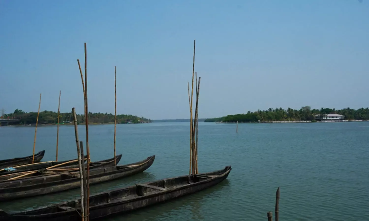 ചേ​റ്റു​വ പു​ഴ​യി​​ലെ മ​ണ​ൽ ഖ​ന​നം; ഉ​ത്ത​ര​വ് പു​നഃ​പ​രി​ശോ​ധി​ക്ക​ണം -കോ​ൺ​ഗ്ര​സ്