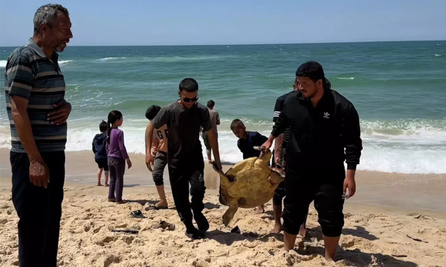 കടുത്ത ഉപരോധവും വെടിവെപ്പും; വിശപ്പ് സഹിക്കാനാവാതെ കടലാമയുടെ മാംസം ഭക്ഷിച്ച് ഗസ്സയിലെ ജനങ്ങൾ