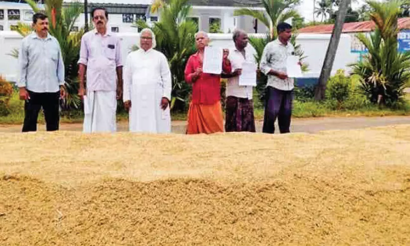 നെ​ല്ല് സം​ഭ​രി​ക്കാ​ൻ ആ​ളി​ല്ല; പു​ഞ്ച​ക്കൊയ്ത്ത് ക​ഴി​ഞ്ഞ് മൂ​ന്നാ​ഴ്ച, ക​ണ്ണീ​രു​മാ​യി ക​ര്‍ഷ​ക​ര്‍