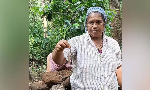 14 വർഷങ്ങൾക്കു മുമ്പ് കാണാതായ സ്വർണക്കൊലുസ് പണിക്കിടെ കണ്ടു കിട്ടി; ഉടമയ്ക്ക് തന്നെ തിരികെ നൽകി തൊഴിലുറപ്പ് തൊഴിലാളികൾ