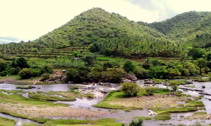 അട്ടപ്പാടി മേഖലയുടെ കേന്ദ്രീകൃത വികസനത്തിനായി ഇനി തുണൈ