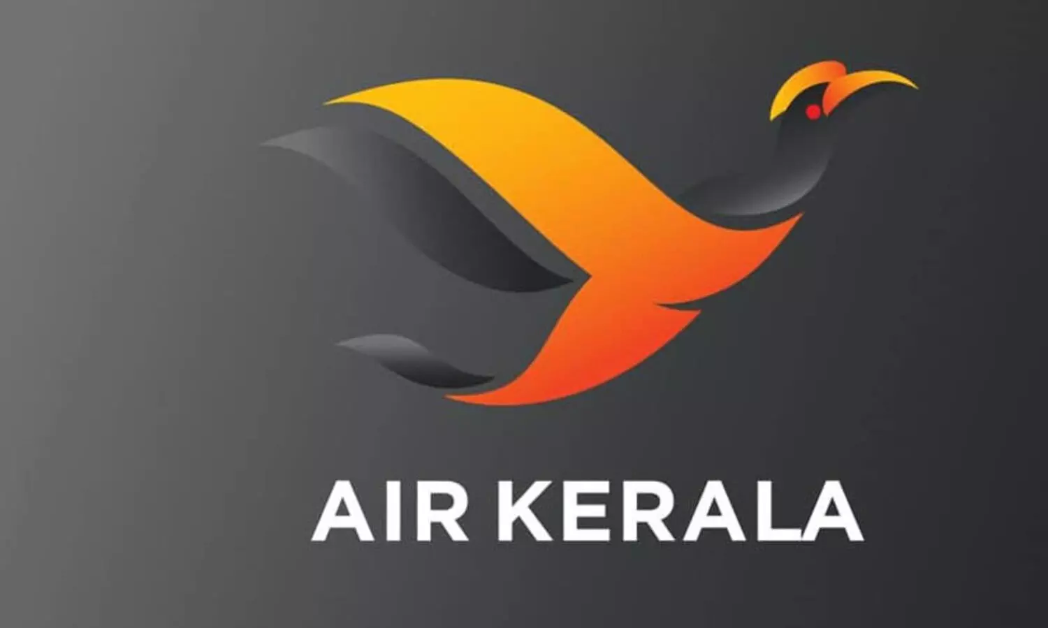ഒരുകടമ്പകൂടി പിന്നിട്ടു; ‘എയര്‍ കേരള’ക്ക് എയര്‍ലൈന്‍ കോഡ്