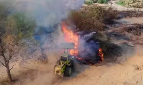 സു​ഹാ​റി​ൽ മ​ര​ങ്ങ​ൾ​ക്ക് തീ​പി​ടി​ച്ചു